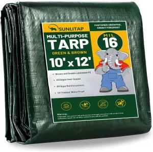 16 Mil Heavy Duty Waterproof Tarps, 10x12 Ft Finished Size Tarps, Premium Tarp with Metal Grommets & Reinforced Edge, Multipurpose Thick Tarp for Car, Boat, Roof, Camping - Green
