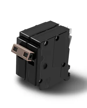 2125 2-Pole 125-Amp Circuit Breaker, 125 AMP Breaker Fit for Cutler Hammer Load Centers, 120/240V, Plug-in