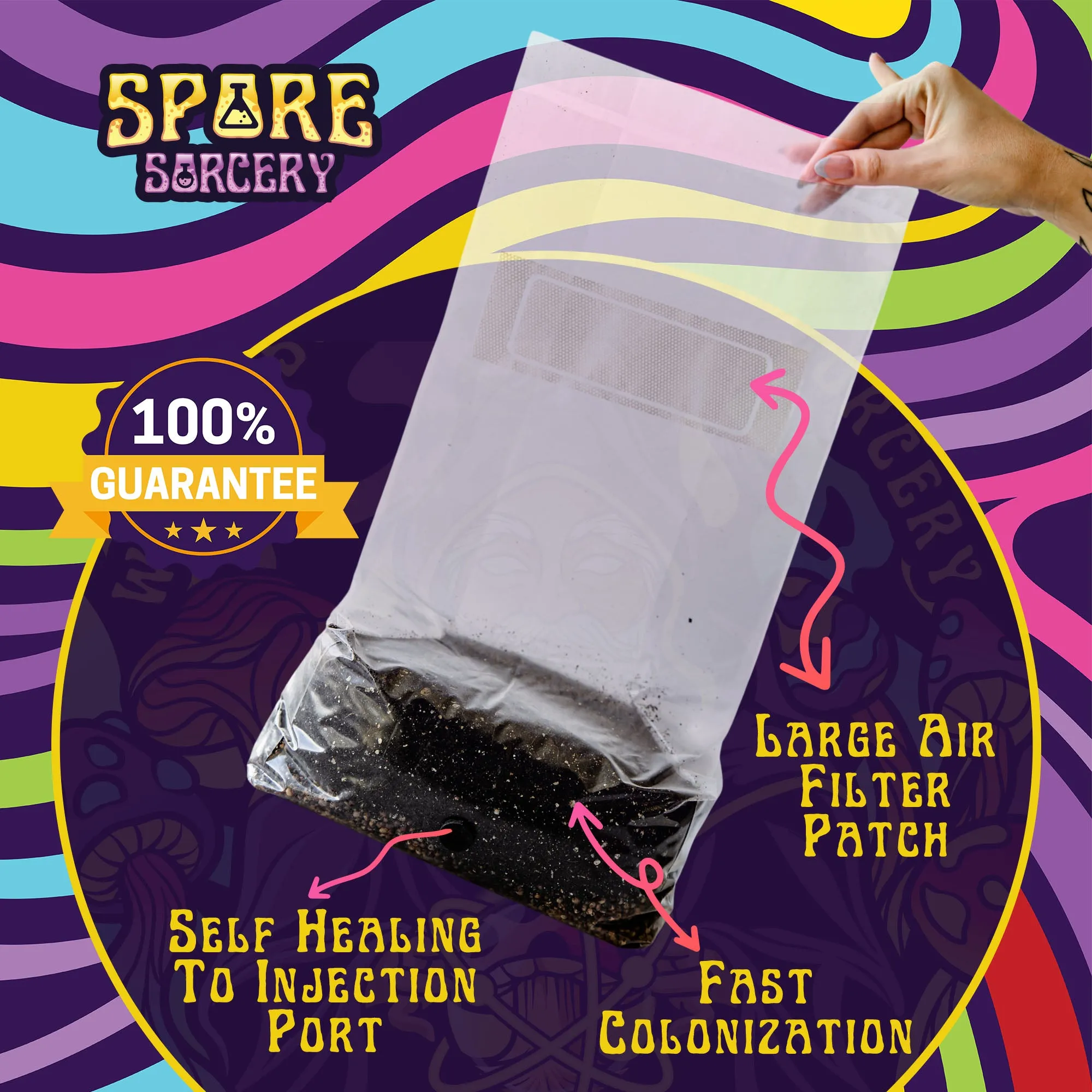 3 Pack | 6 lb All-in-One Mushroom Grow Kit In a Bag | Spores Not Included