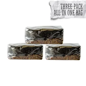 3 Pack | 6 lb All-in-One Mushroom Grow Kit In a Bag | Spores Not Included