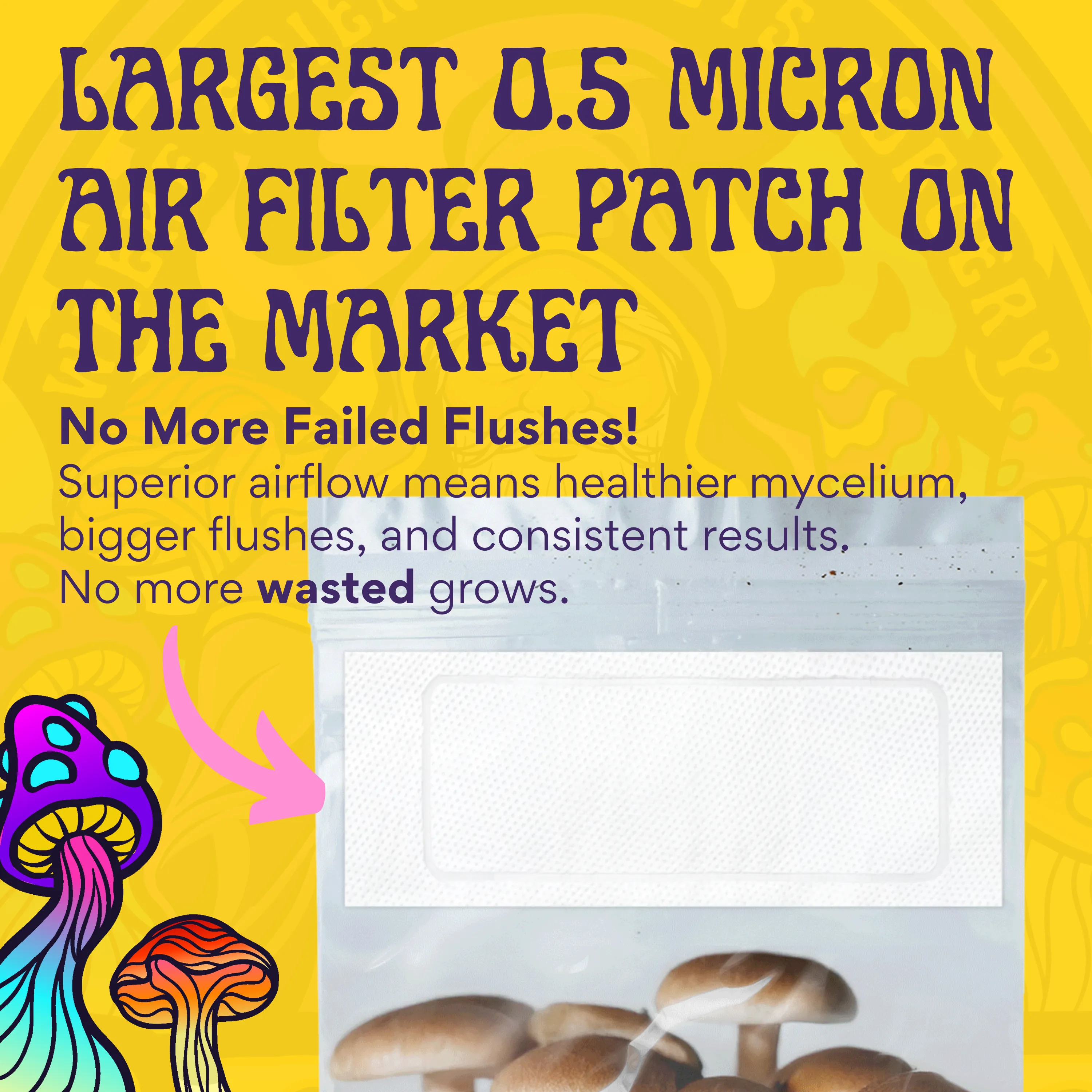 3 Pack | 6 lb All-in-One Mushroom Grow Kit In a Bag | Spores Not Included