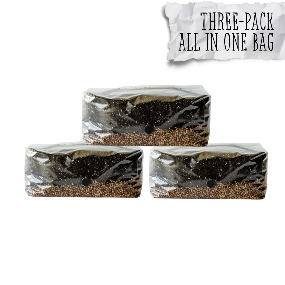 3 Pack | 6 lb All-in-One Mushroom Grow Kit In a Bag | Spores Not Included
