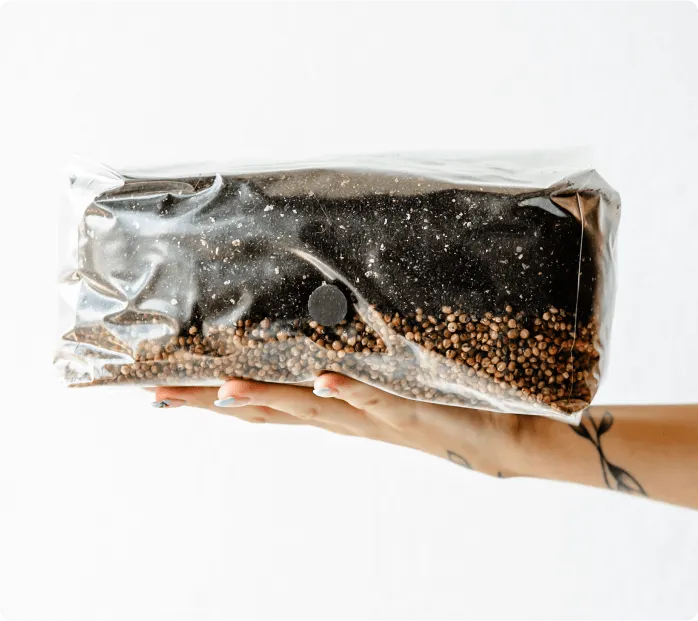 6 Pack | 6 lb All-in-One Mushroom Grow Kit