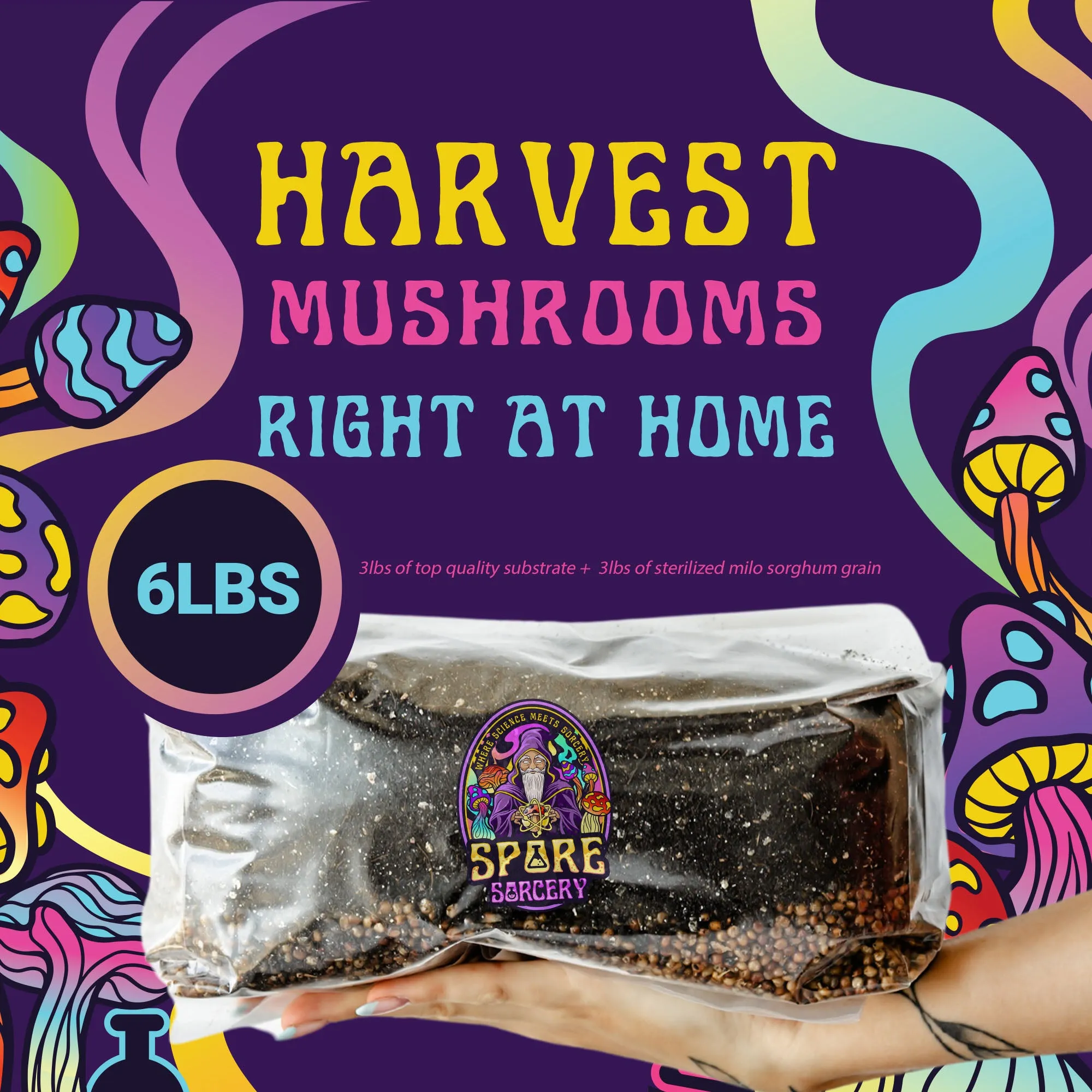 6 Pack | 6 lb All-in-One Mushroom Grow Kit