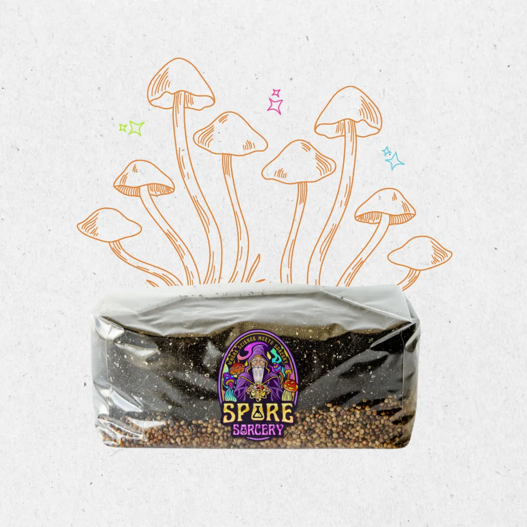 6 Pack | 6 lb All-in-One Mushroom Grow Kit