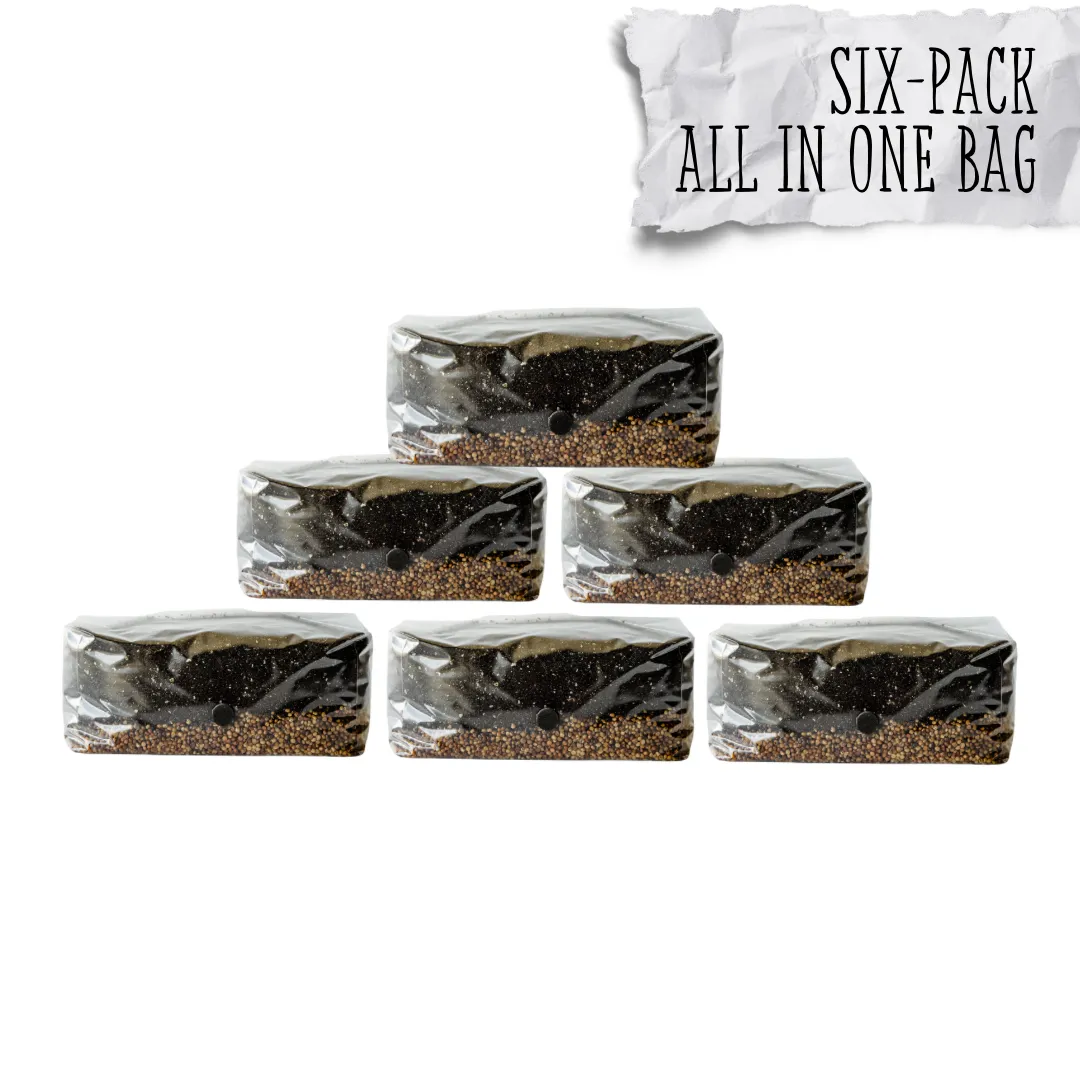 6 Pack | 6 lb All-in-One Mushroom Grow Kit