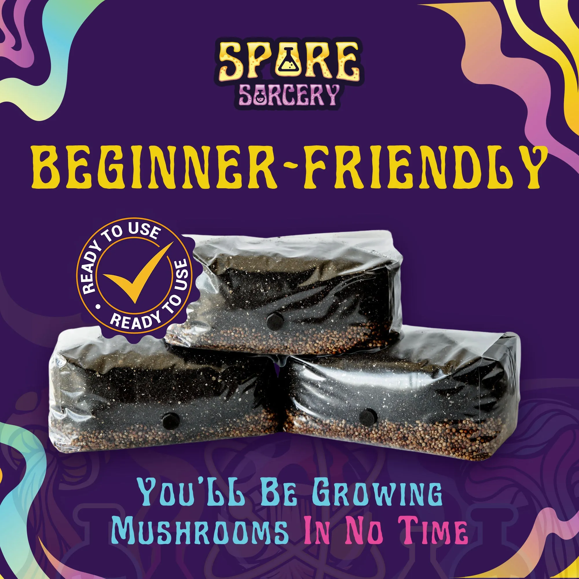 6 Pack | 6 lb All-in-One Mushroom Grow Kit