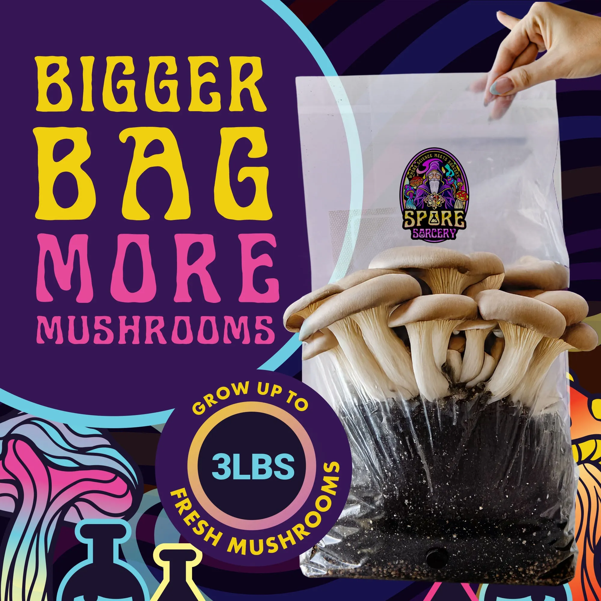 6 Pack | 6 lb All-in-One Mushroom Grow Kit