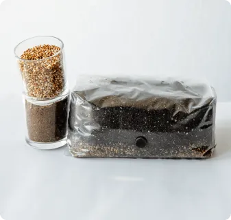 6 Pack | 6 lb All-in-One Mushroom Grow Kit