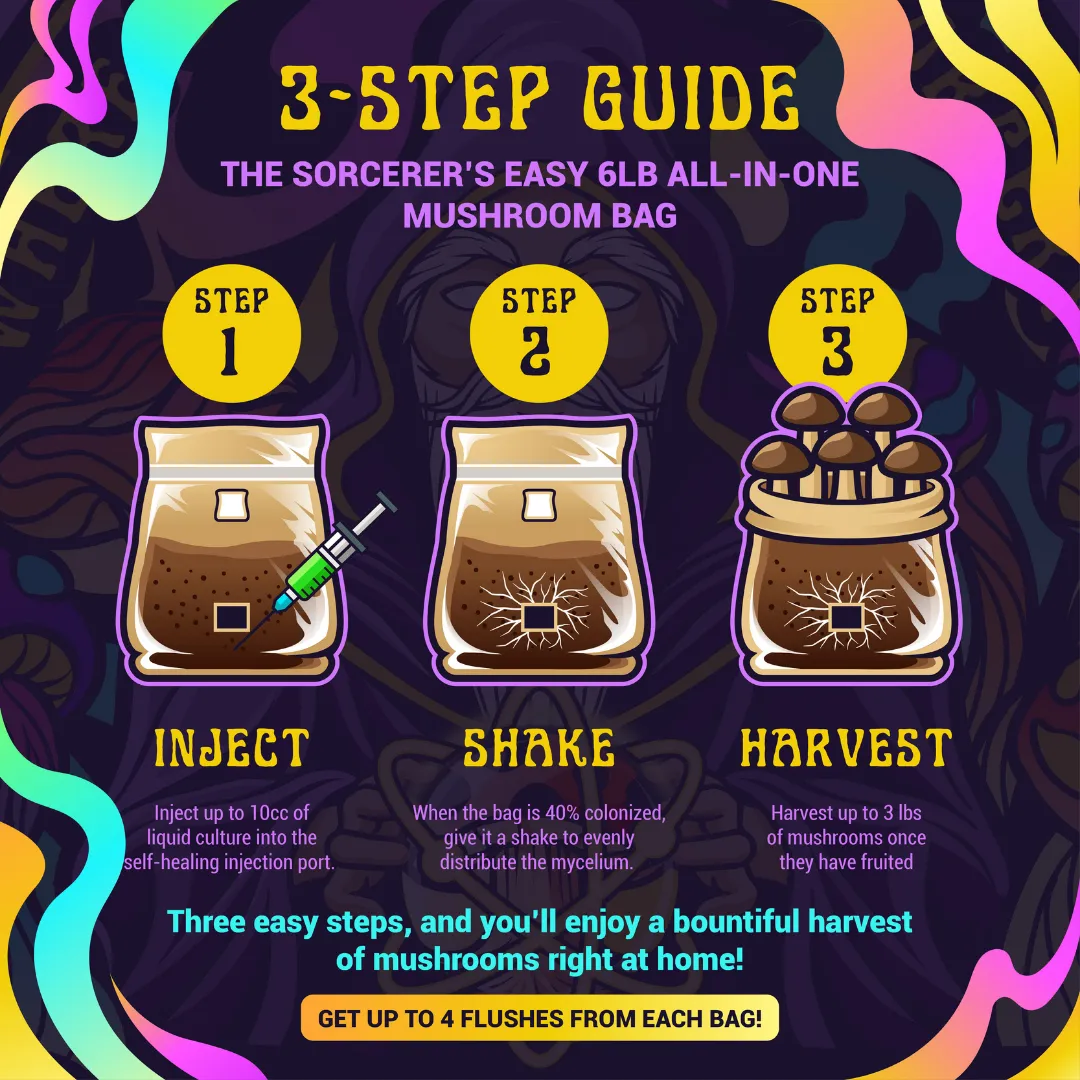 6 Pack | 6 lb All-in-One Mushroom Grow Kit