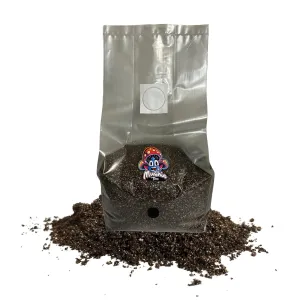 All in ONE Mushroom Grow Bag with Injection Port (5 LBS) | Mushroom Grow Bag Kit with Sterilized Grain and Substrate | Growing Your Own Mushrooms Made Easy