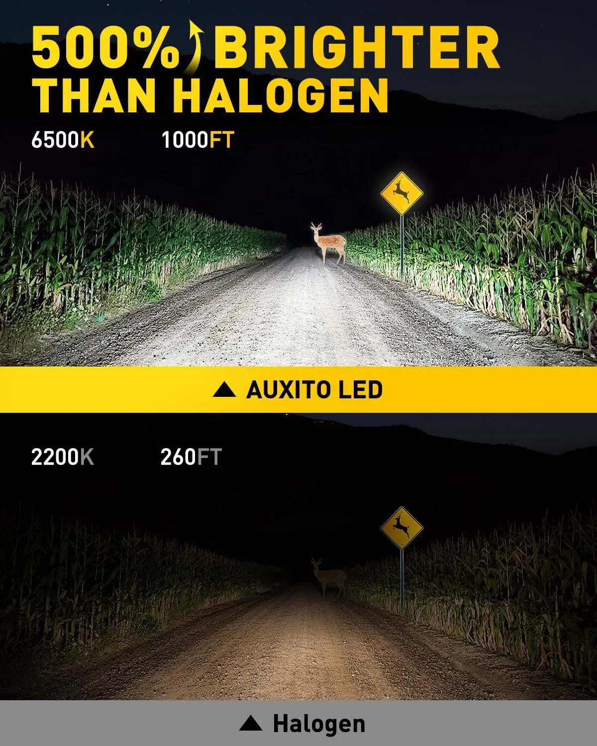 AUXITO 2025 Upgraded H1 LED Light Bulb, 1:1 Mini Size, No Adapter Required Easy install, 6500K White, H1ll Fanless LED Kit Fog lights, Canbus Ready, Plug and Play, Pack of 2