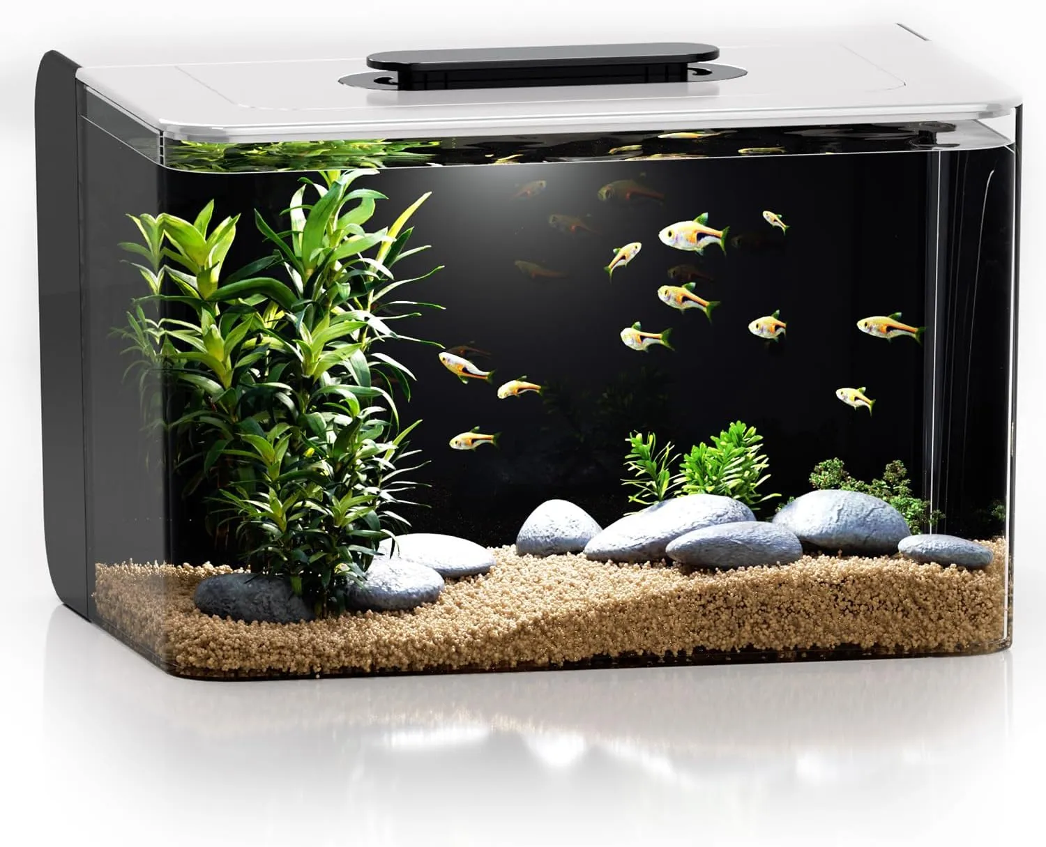 Betta Fish Tank, 2.5 Gallon Aquarium Kit with Filter, Light, Self Cleaning, Oxygenation, Small All in One Starter Fish Tank for Goldfish, Guppy, Shrimp, Desktop, Acrylic