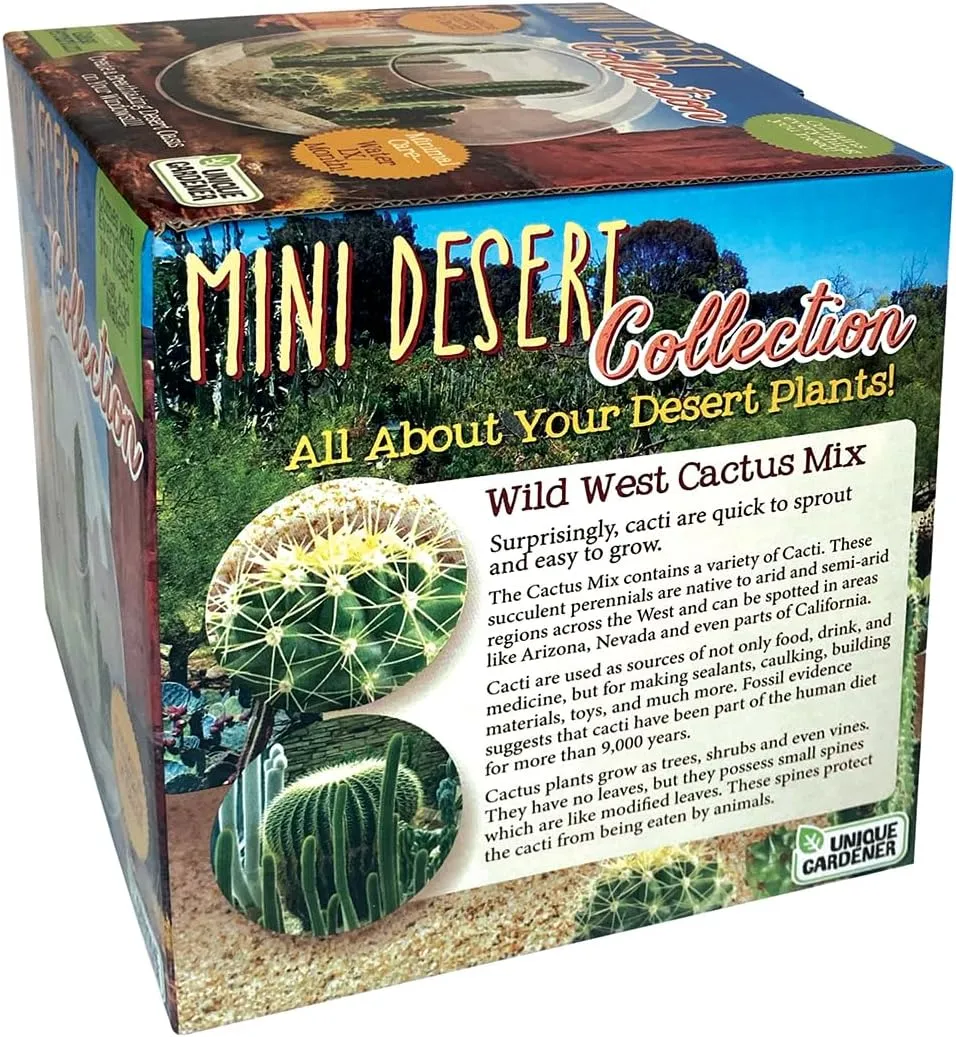 Cactus Succulent Glass Terrarium Starter Kit from Unique Gardener - Grow Your Own Indoor Desert Terrariums - Includes Live Cacti Plants and Easy Setup with Complete Terrarium Supplies