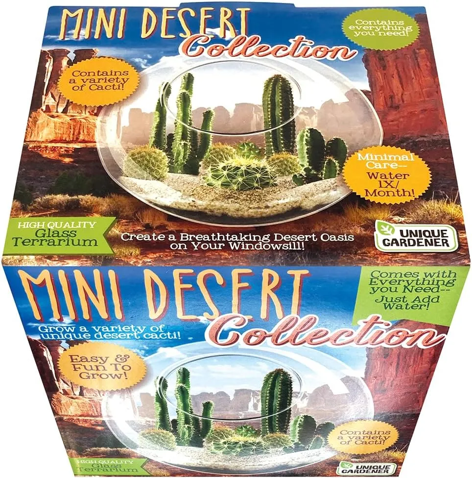 Cactus Succulent Glass Terrarium Starter Kit from Unique Gardener - Grow Your Own Indoor Desert Terrariums - Includes Live Cacti Plants and Easy Setup with Complete Terrarium Supplies