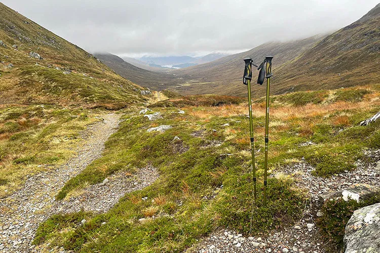 DD Hiking Pole