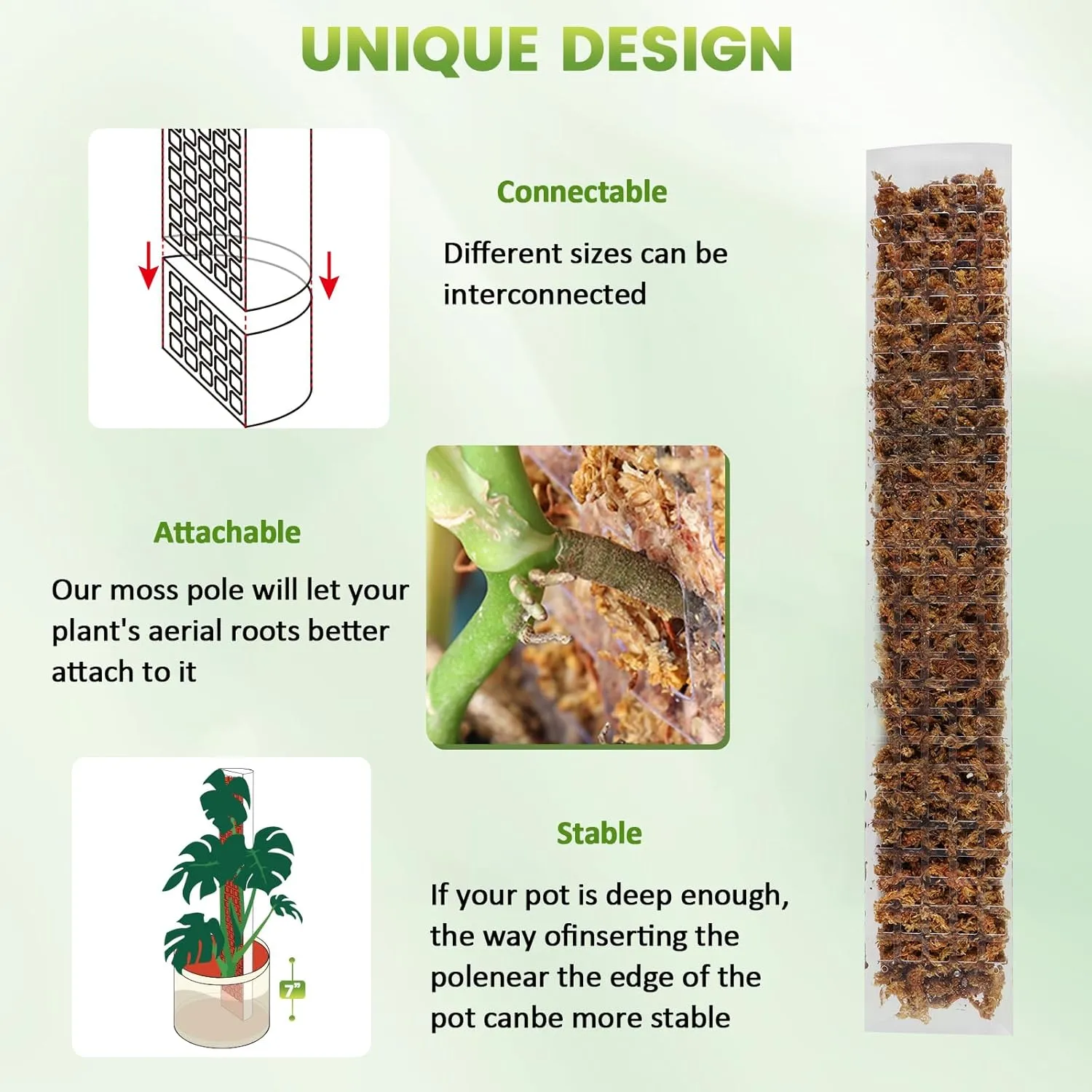 EOX 6 Pack 24" x2   36" x2   48" x2 Plastic Moss Pole for Monstera, Large D Shaped Poles for Climbing Plants Work with Sphagnum Moss, 210 Inch Total