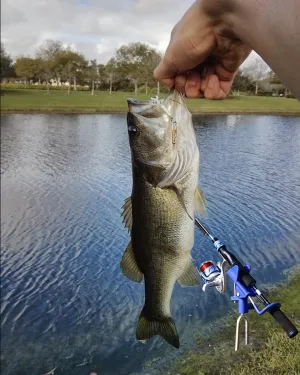 Fishing Rod Holder for Ground - 2Pack Fishing Pole Holders for Ground, 360 Degree Adjustable Include 2 Fish ing Rod Alarm Bell, Enjoy a More Relaxing of Fishing Experiences