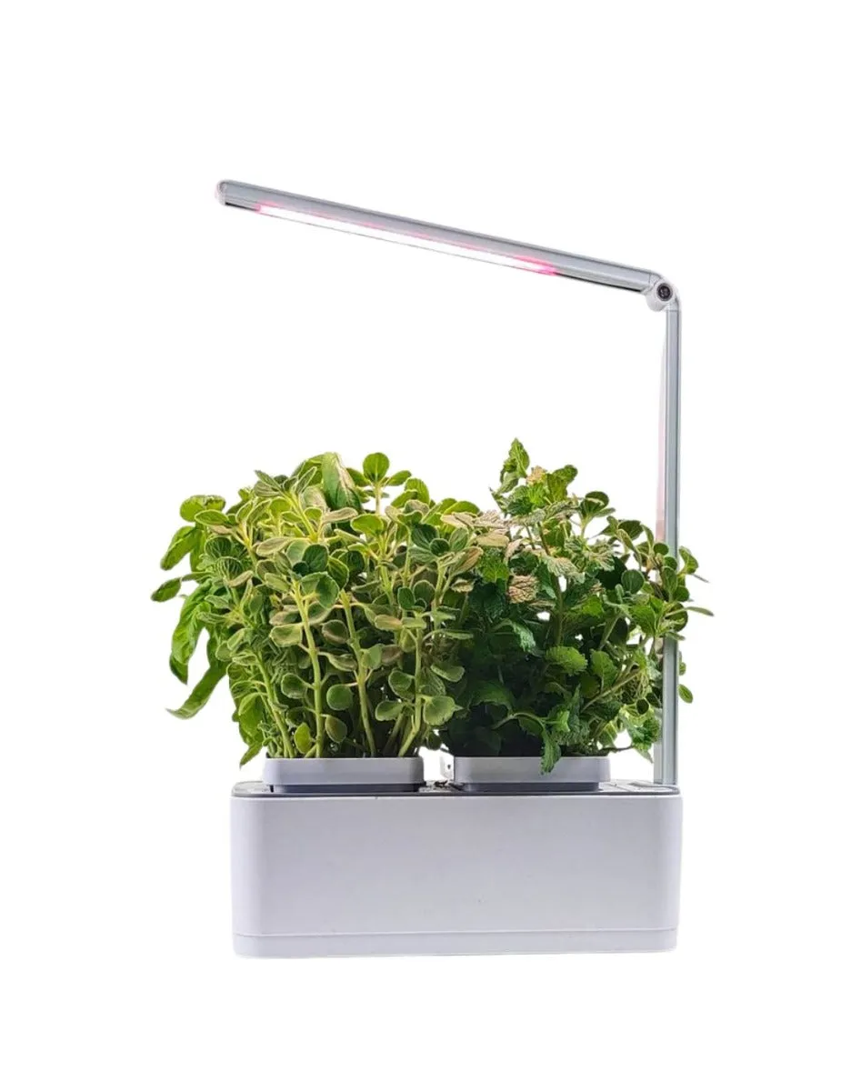 HydroGarden All-In-One Grow Kit