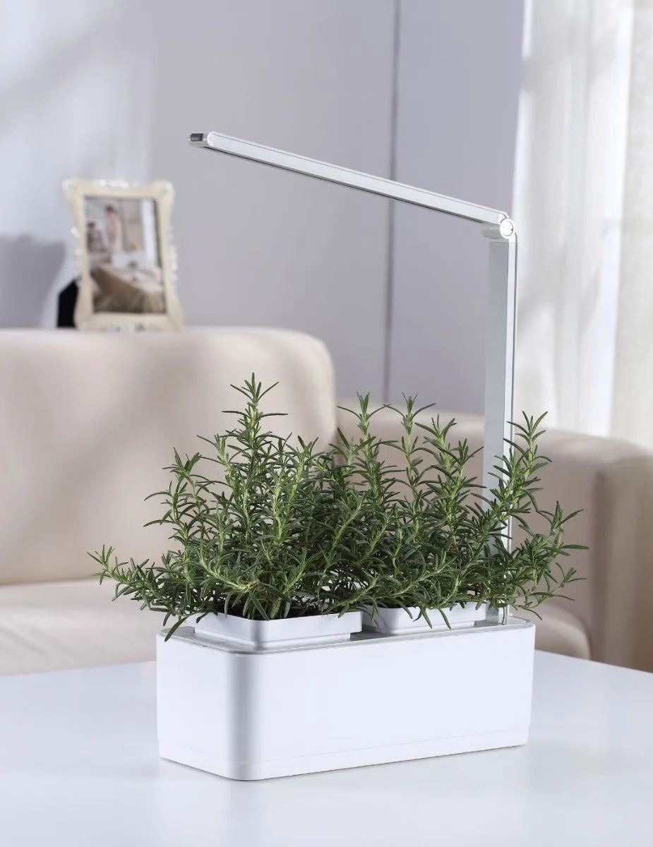 HydroGarden All-In-One Grow Kit