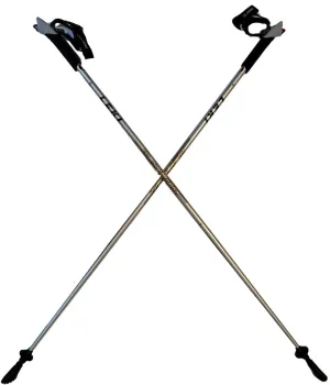LEKI Nordic Walking Platinium Carbon Series 115cm Silver