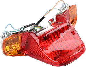 Minho Motorcycle Integrated Tail Light Assembly 12V 21W 5W Halogen Lamp Compatible with Yamaha Zuma 2009-2010 1TH Generation