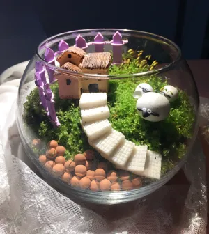 Miniature Desktop Moss Terrariums Set
