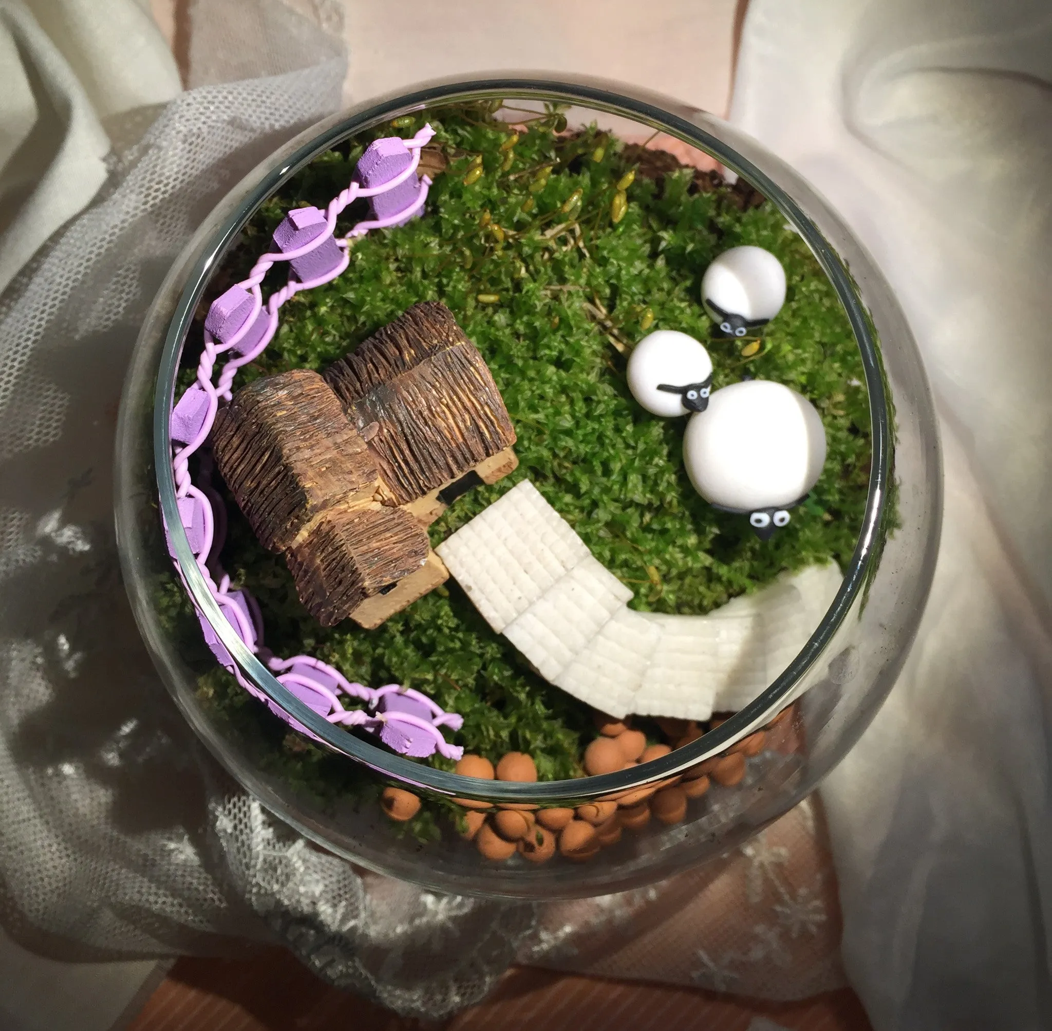 Miniature Desktop Moss Terrariums Set