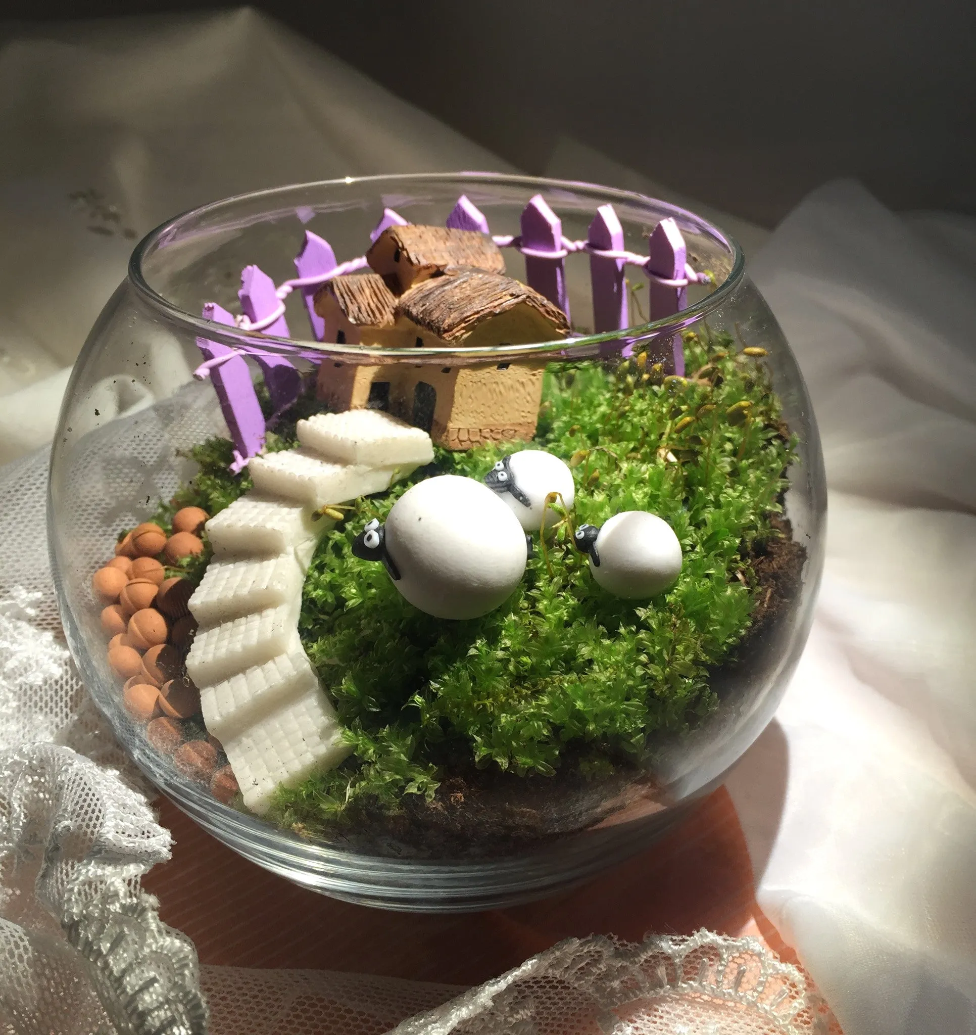 Miniature Desktop Moss Terrariums Set