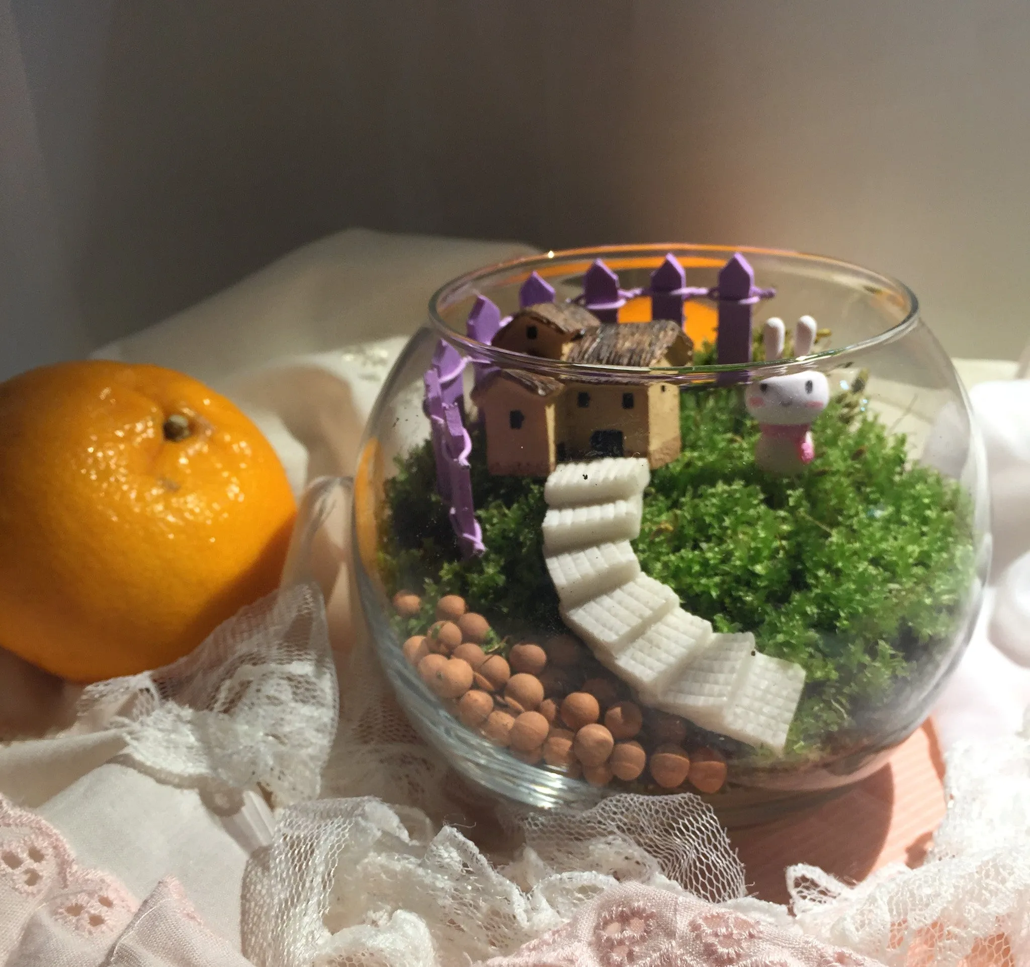 Miniature Desktop Moss Terrariums Set
