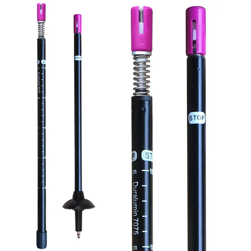 Most-ordered Nordic Pole T-Handle Walking Exceptional
