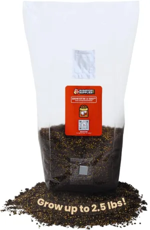 Mushroom Supplies, Grow Kit in-a-Bag, All-in-One, Spores Not Included, Easy to Use, Mushroom Grow Bag with Sterilized Grain and Substrate, Mycologist Recommended, 5 LB