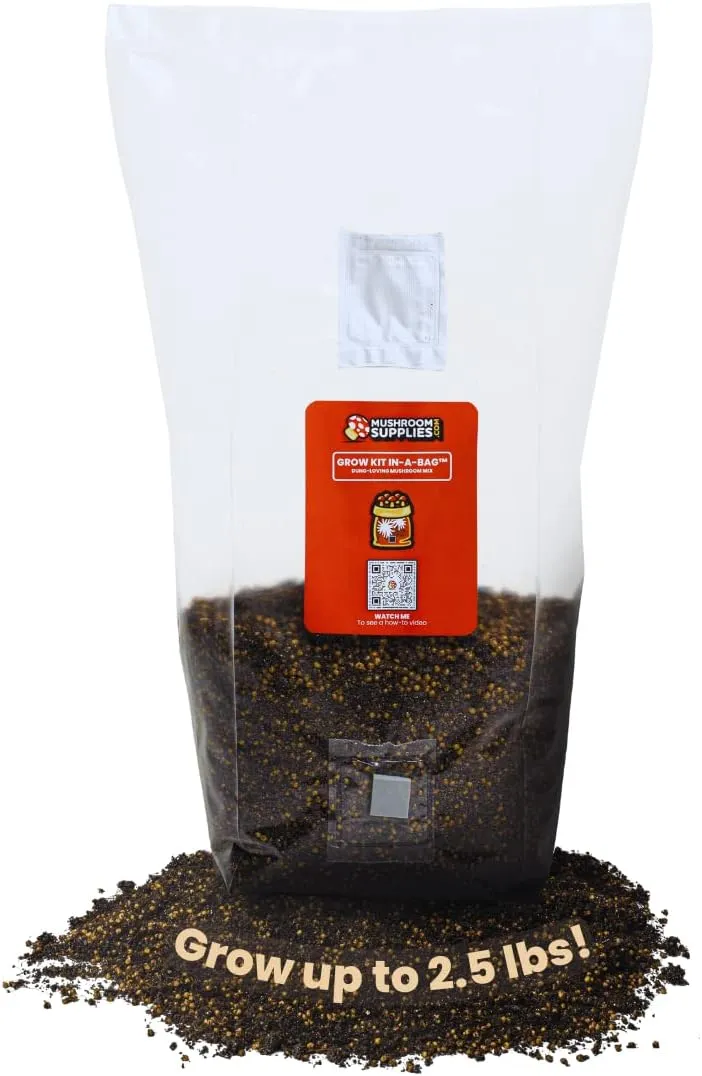 Mushroom Supplies, Grow Kit in-a-Bag, All-in-One, Spores Not Included, Easy to Use, Mushroom Grow Bag with Sterilized Grain and Substrate, Mycologist Recommended, 5 LB