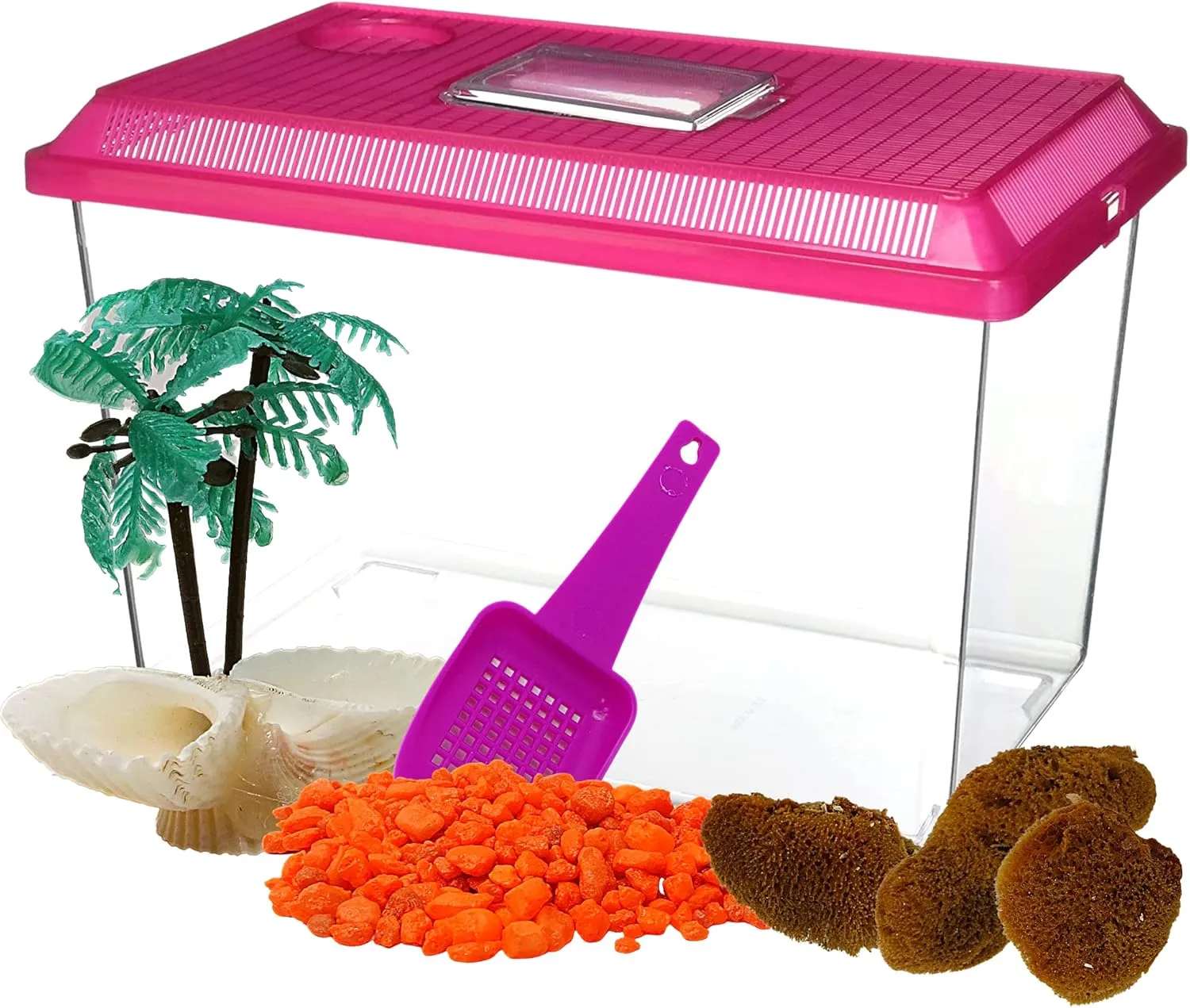Needzo All in One Starter Kit Hermit Crab Habitat Supplies, DIY Terrarium Pack with1 Gallon Plastic Cage, Gravel, Scooper, Sponges, and Palm Tree Feeder for Crabs and Reptiles, 5 Pieces
