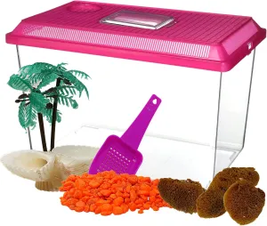 Needzo All in One Starter Kit Hermit Crab Habitat Supplies, DIY Terrarium Pack with1 Gallon Plastic Cage, Gravel, Scooper, Sponges, and Palm Tree Feeder for Crabs and Reptiles, 5 Pieces