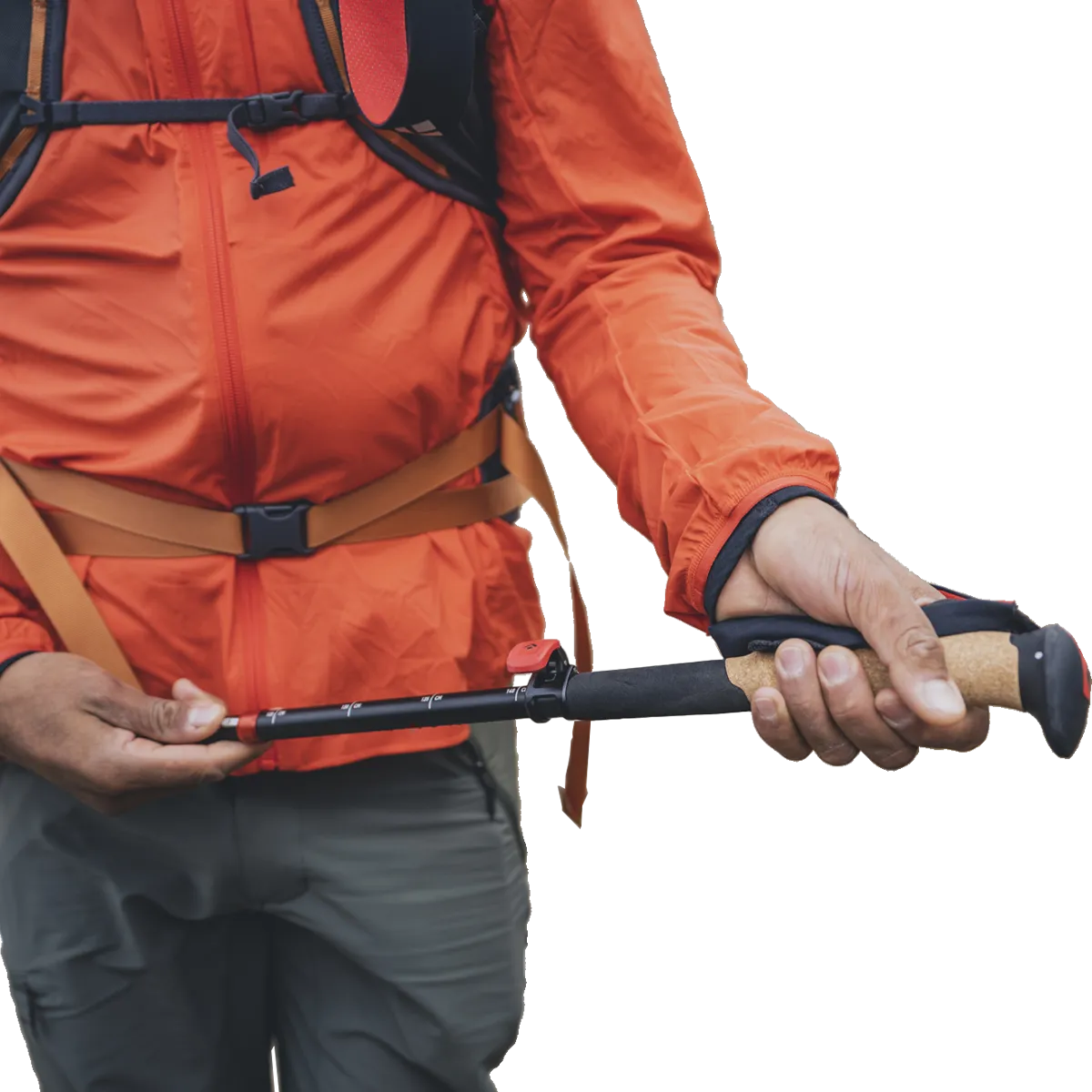 Pursuit FLZ Trekking Poles