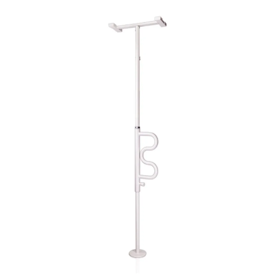 Rental -  Security Pole & Curve Grab Bar