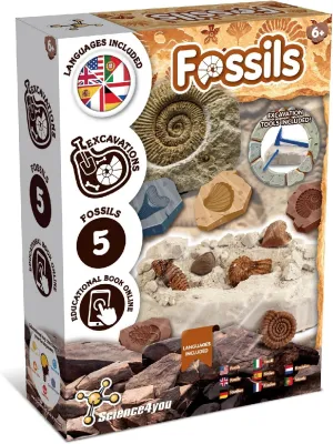 Science4you Fossil Digging Kit for Kids – Archeology, Excavation and Paleotology Kits for Kids, Fossil Dig, Stem Toy and Gift for Boys and Girls Age 6 7 8-12 