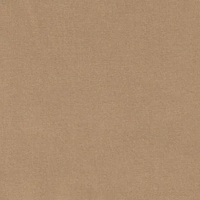 Supaproof 6 Canvas: Light Sand