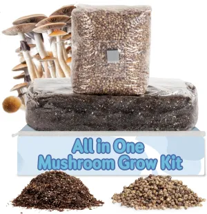 Surfin' Spores All-in-One Mushroom Grow Kit | 6 lb Grow-in-Bag Kit/Monotub Refill | Includes: 2 lb Sterile Grain Bag with Injection Port & 4 lb Organic CVG Substrate | Spores Not Included
