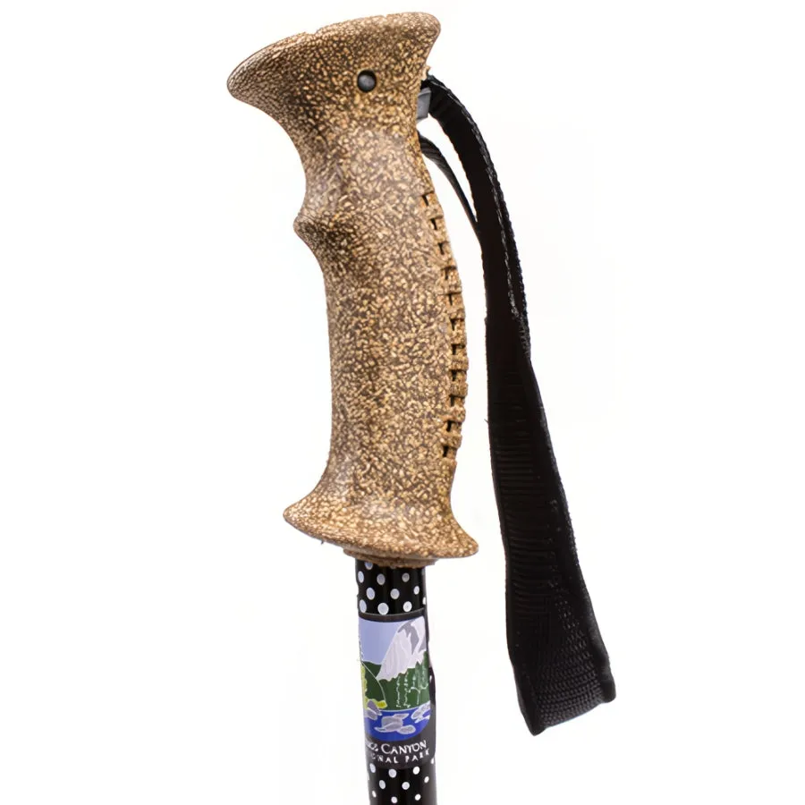 Trekking Pole Black