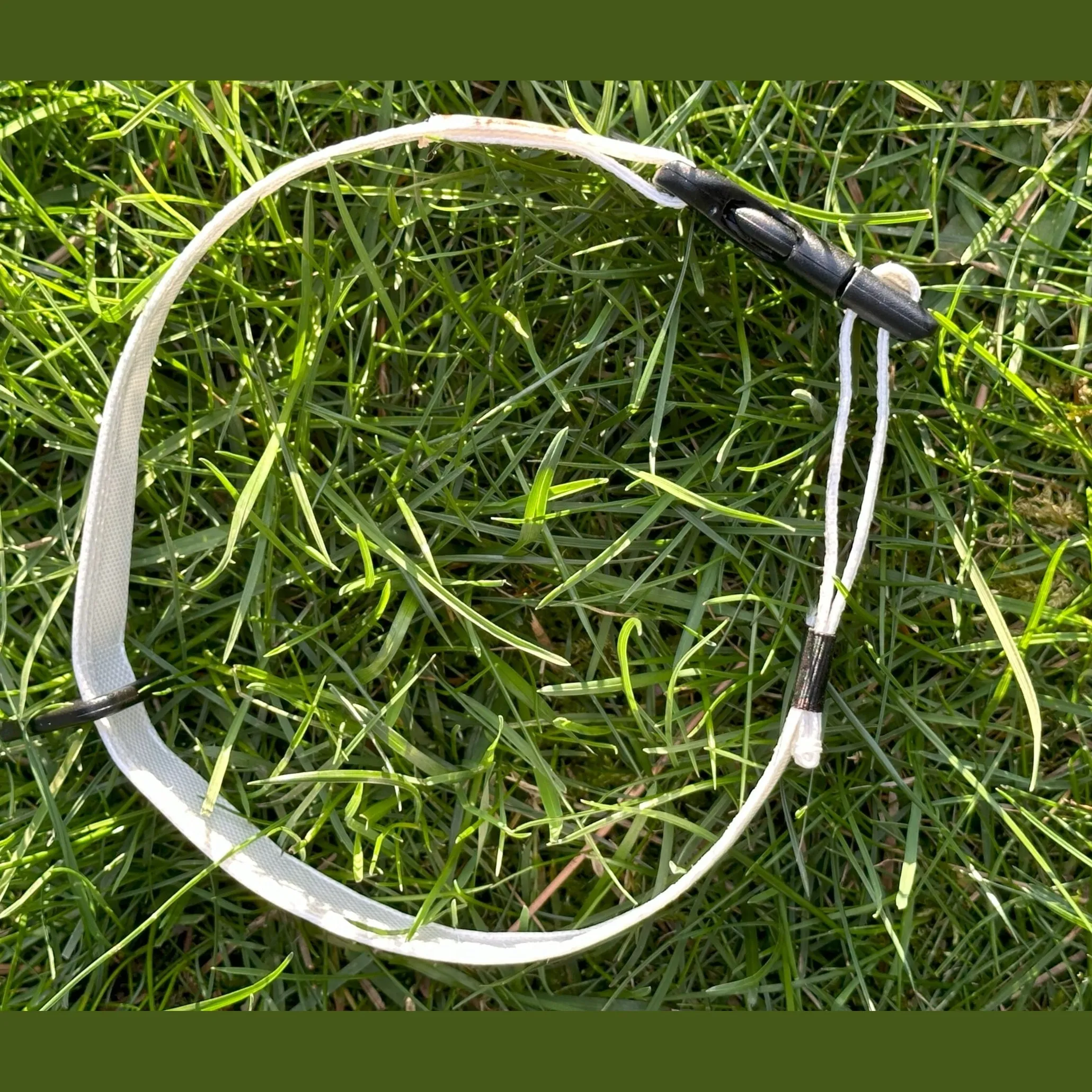 Ultralight Dog Collar