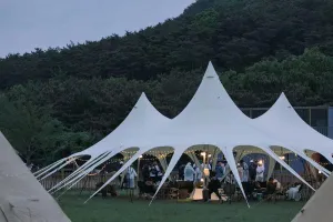 Waterproof Portable Tarp Shelter for Camping and Outdoors, Adjustable Height, Durable Material, 289㎡ Shade Space